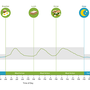 CGM Research Project