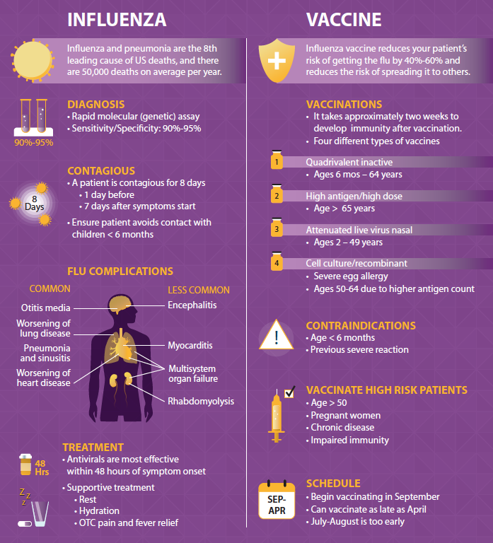 Influenza Clinician Infographic